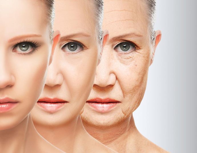 5 Best Natural Anti Aging Creams